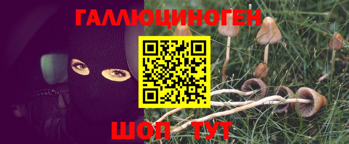 купить наркоту  Вход с VPN  Конаково  Галлюциногенные грибы Psilocybe 